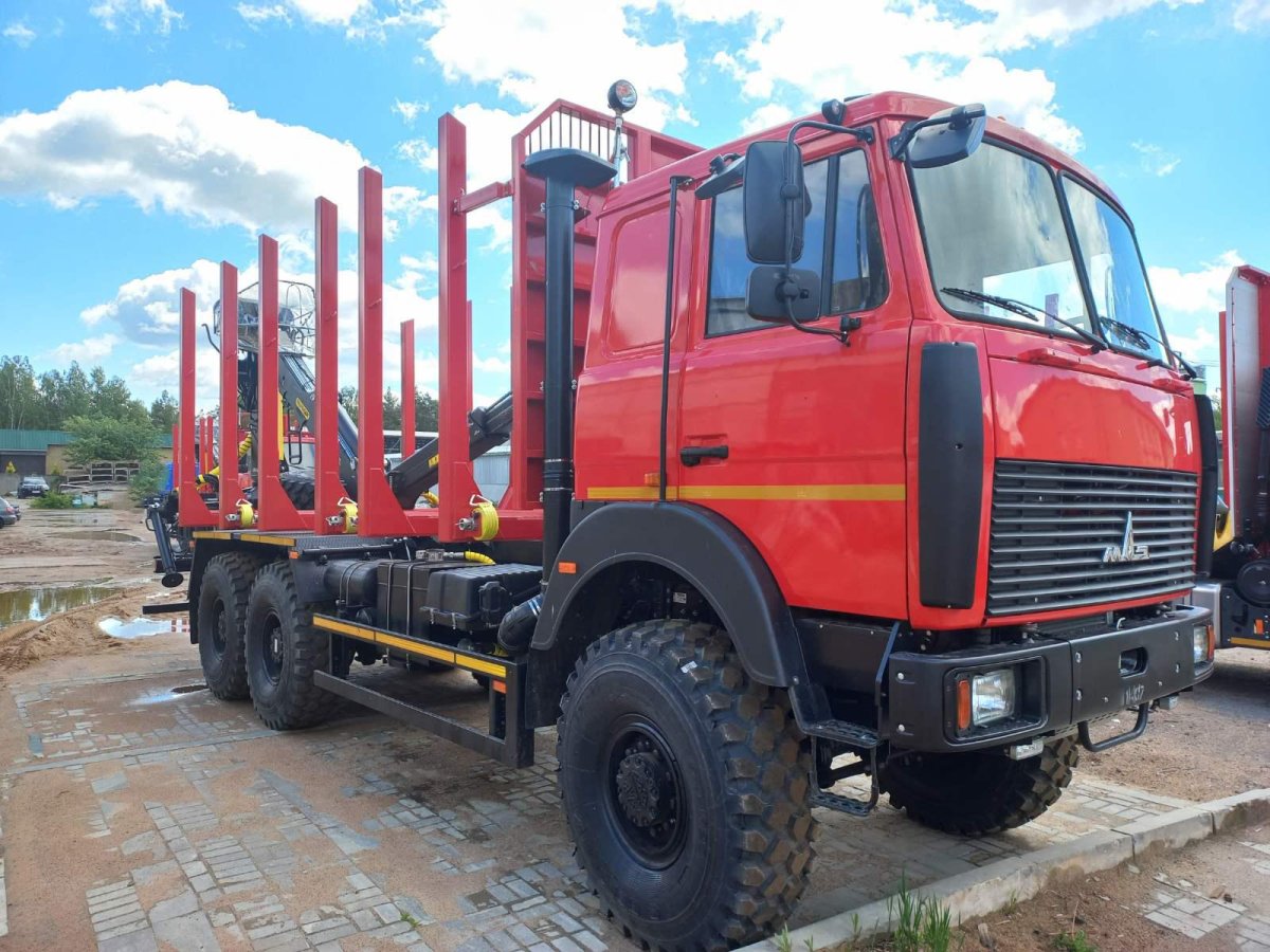 Сортиментовоз МАЗ 6317f9