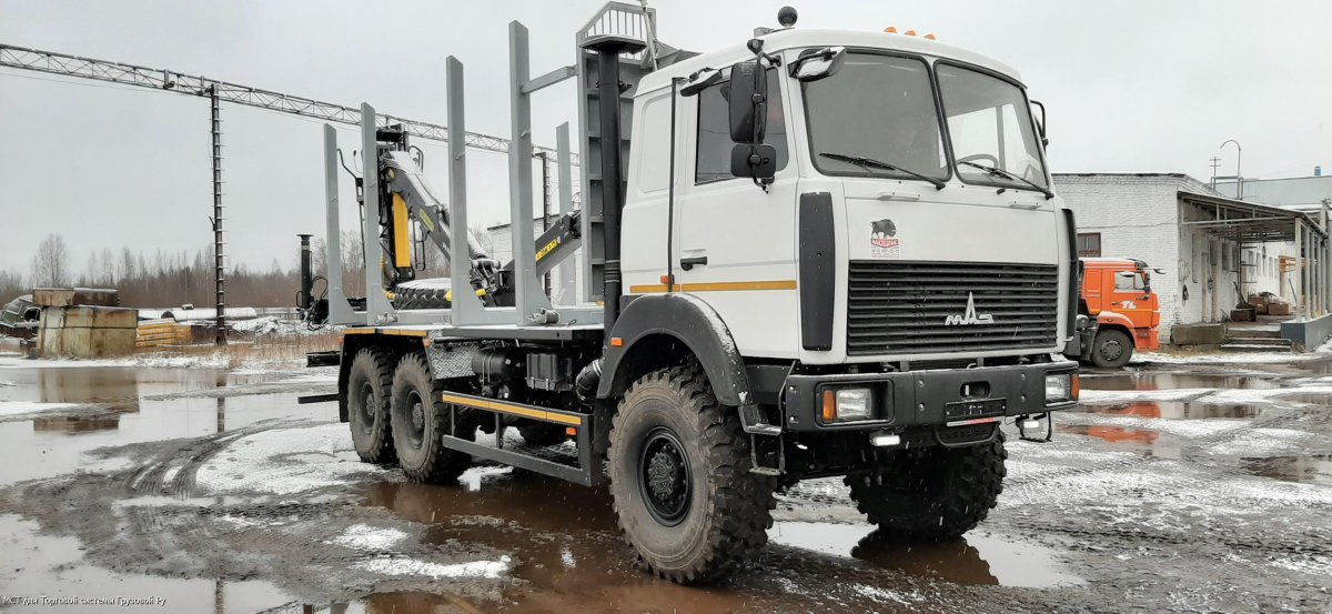 МАЗ 6317f9