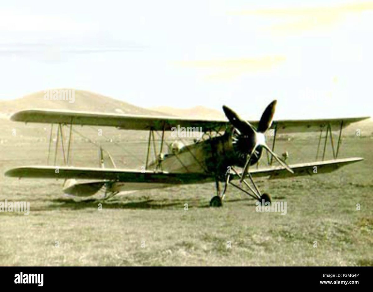 Caproni 161