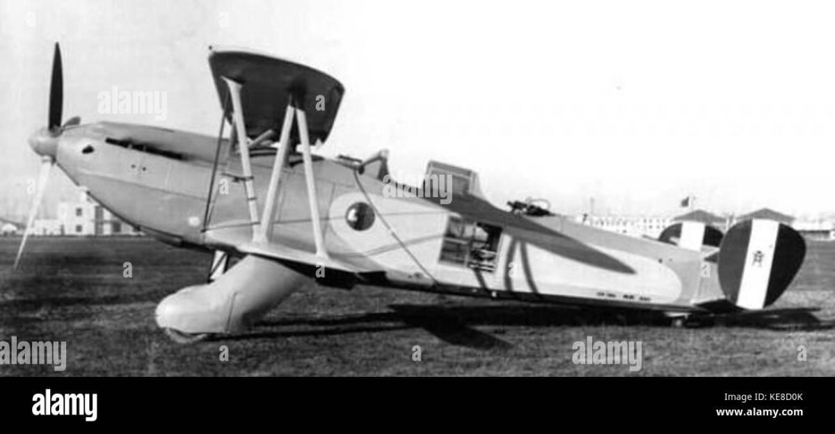 Stipa Caproni самолет