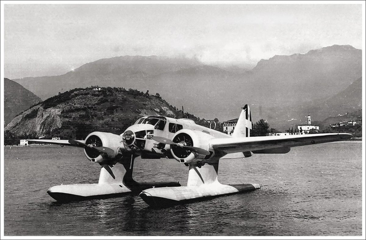 Самолет Caproni CA.310