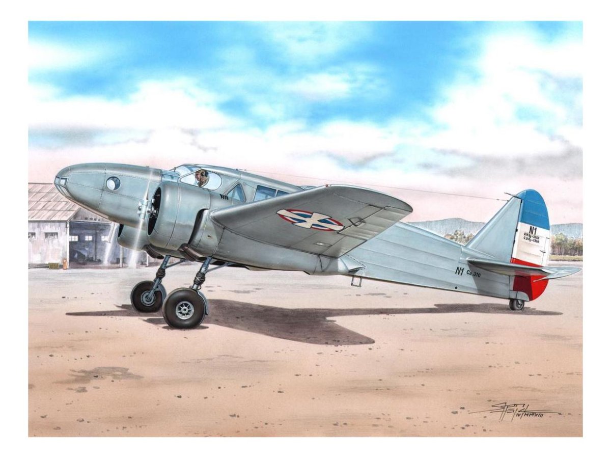 Самолет Caproni CA.310