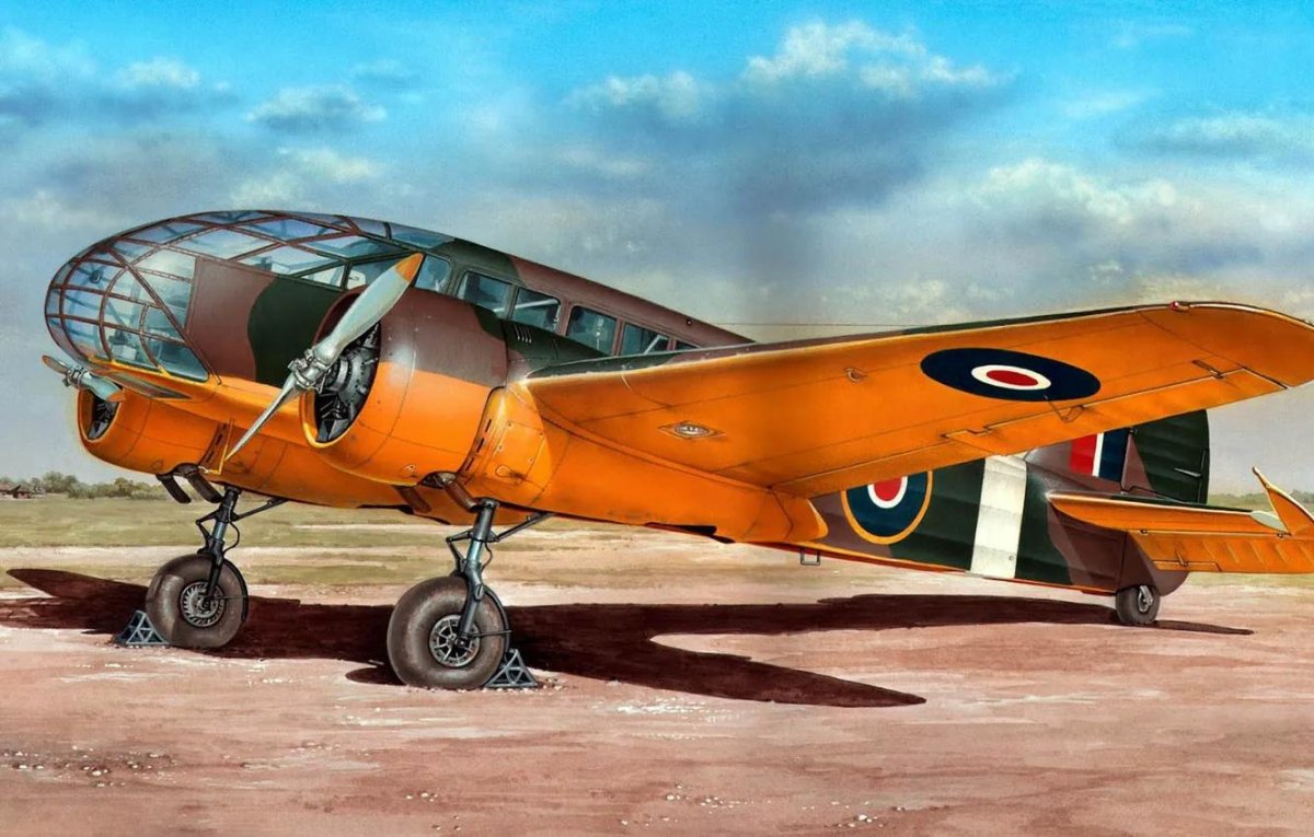 Caproni CA.311
