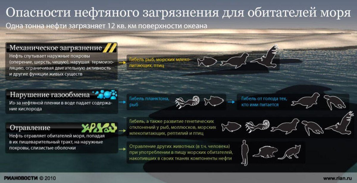 Опасности нефтяного загрязнения