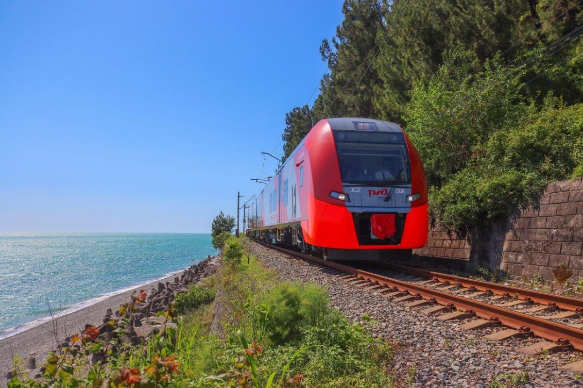 Ласточка Адлер Гагра