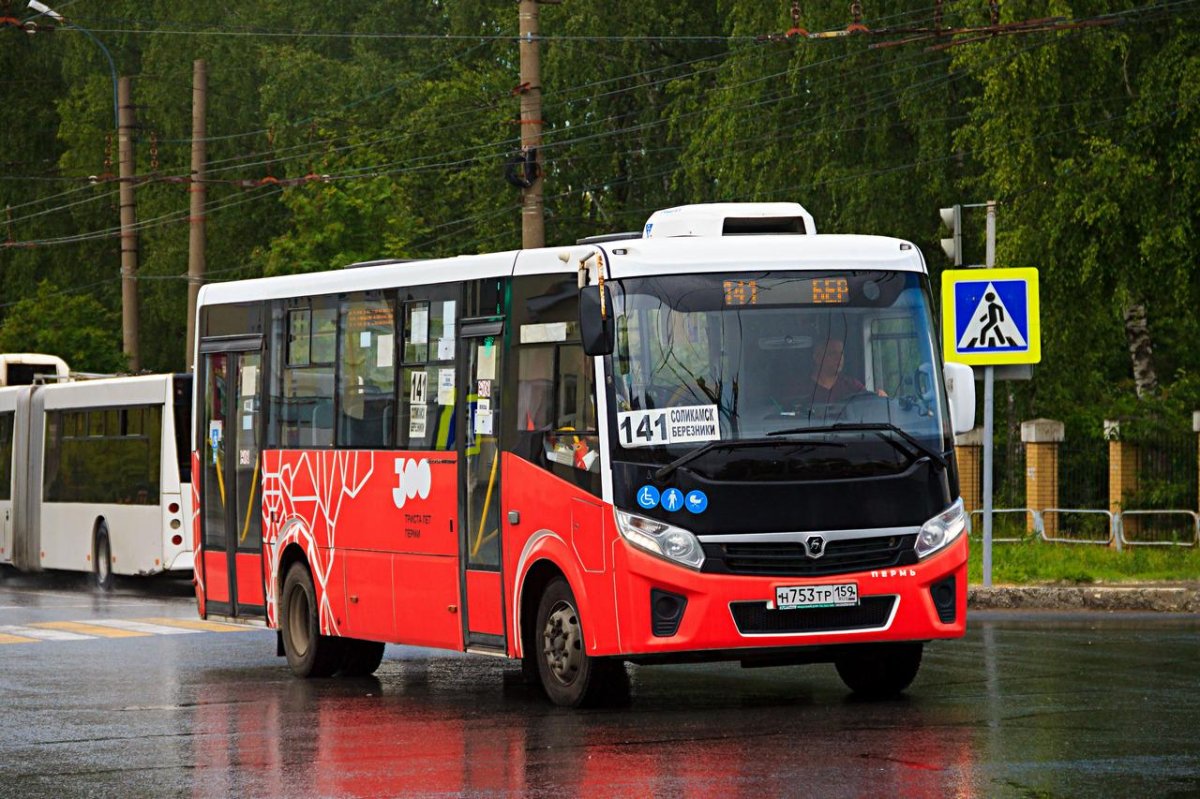 ПАЗ 3204 вектор