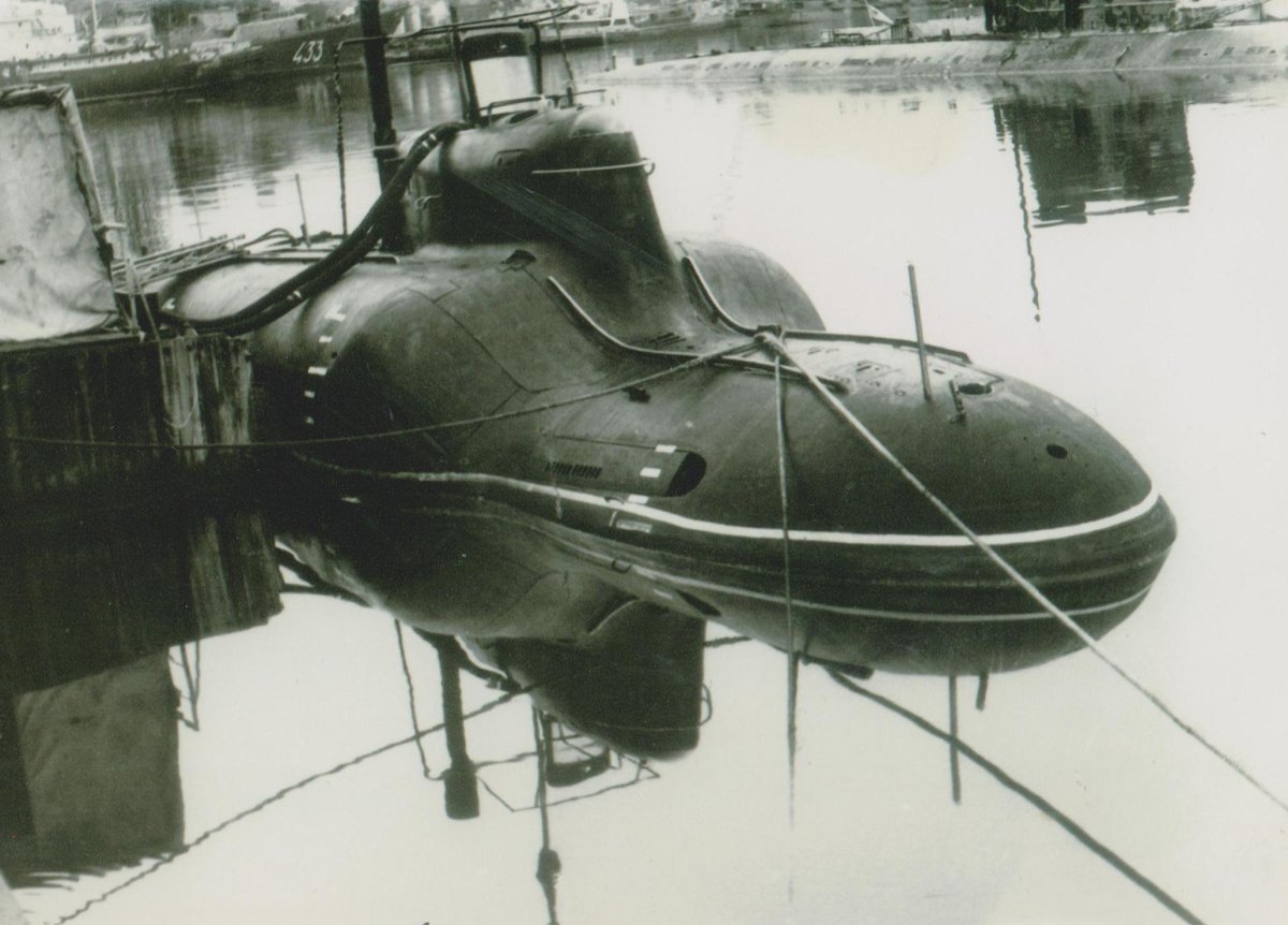 Пл Пиранья проект 865