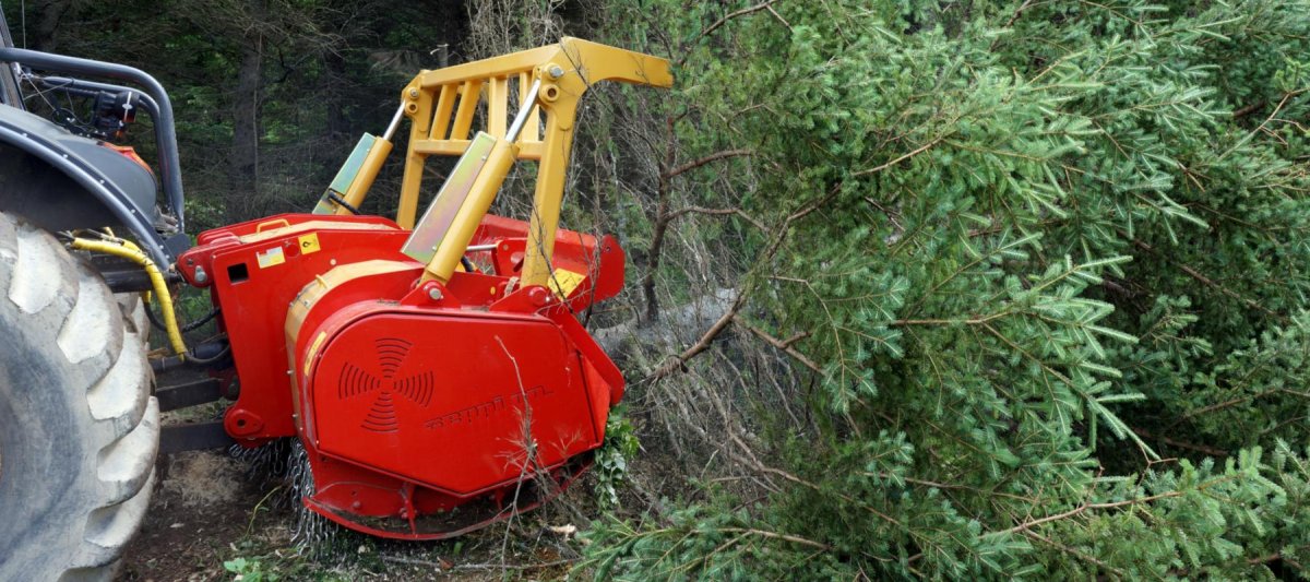 Seppi m. s.p.a. (ст), BMS 150 мульчер навесной