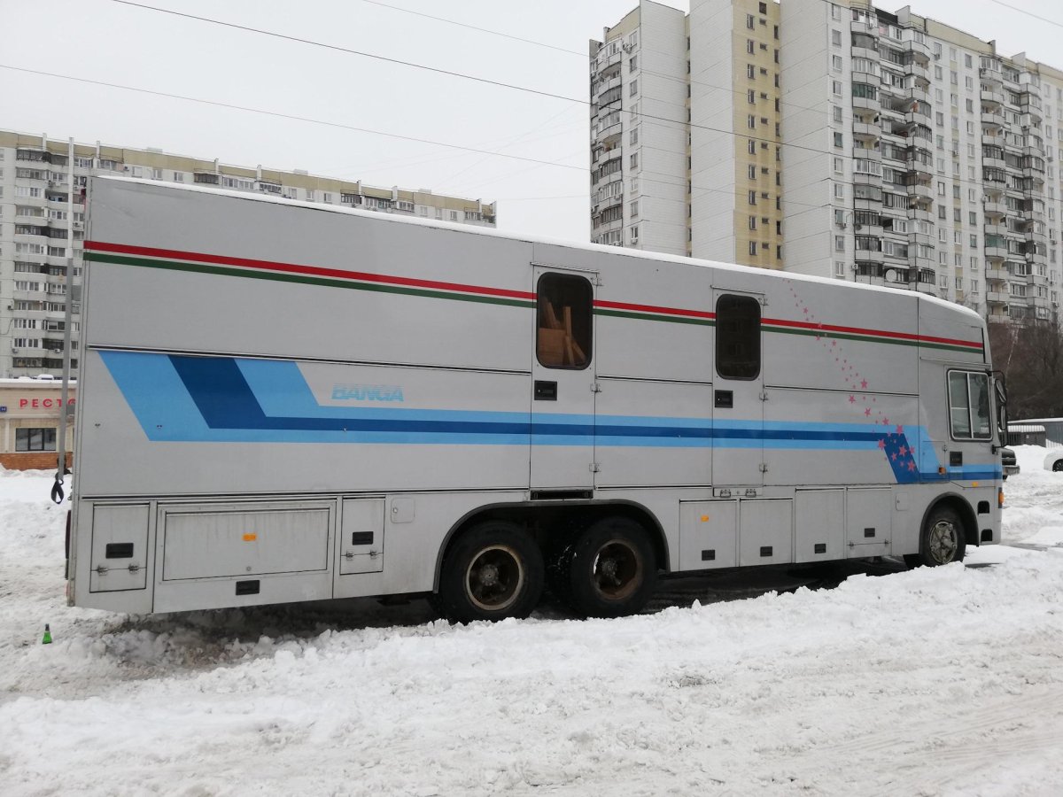 КАМАЗ-Ajokki Магнолия 83а