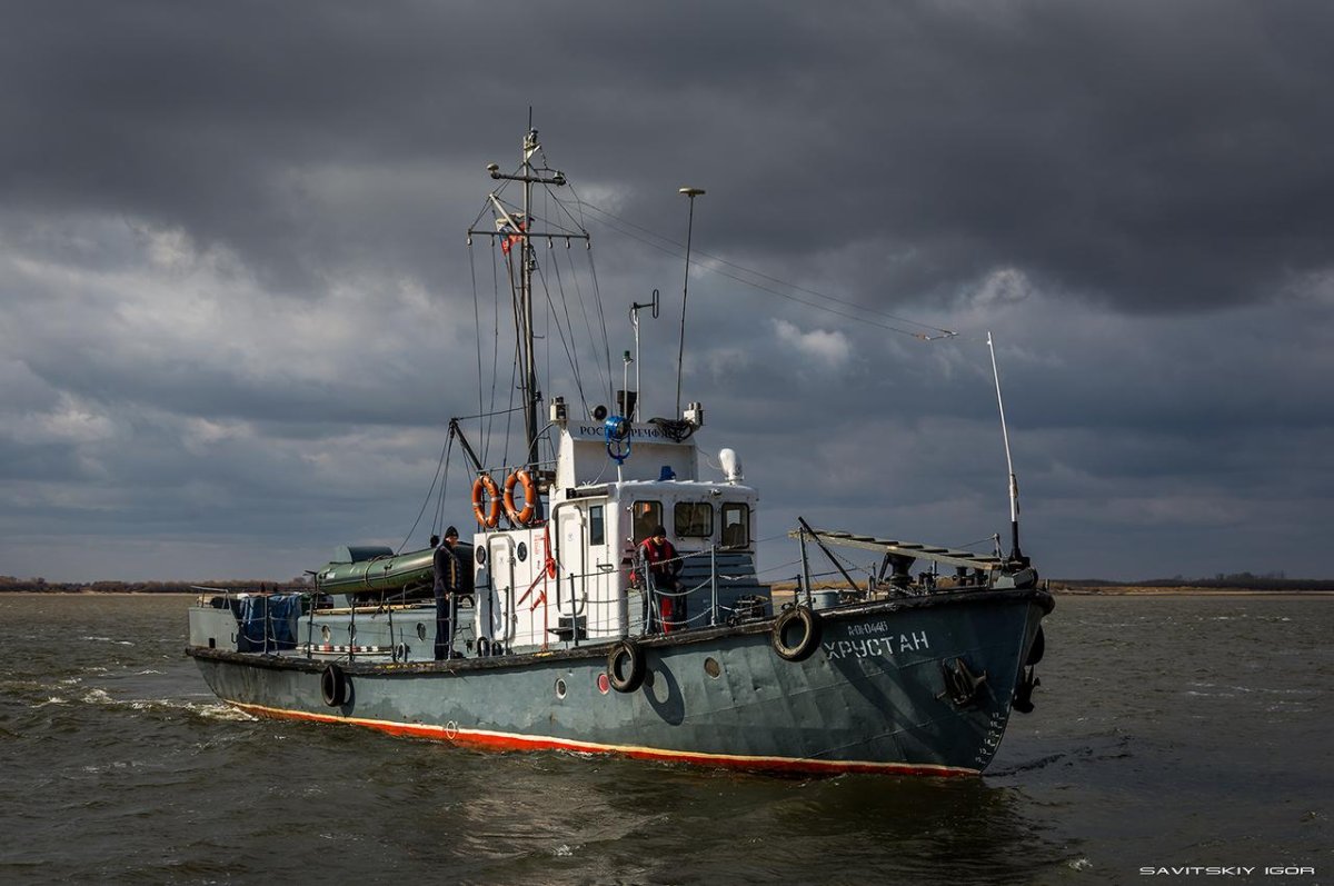 Ярославец проекта 376