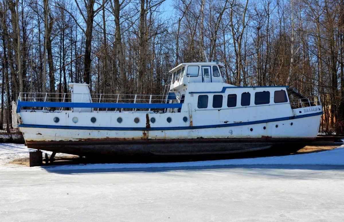 Ярославец Фаворит