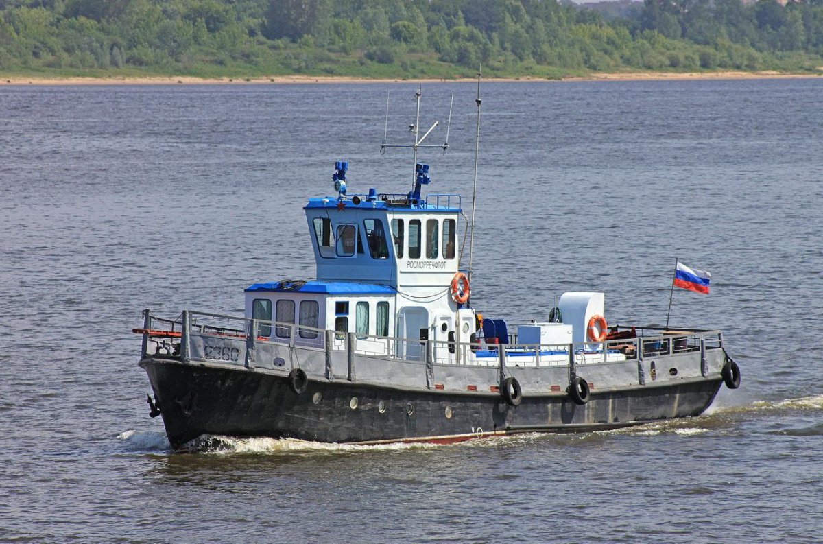 Ярославец 3056