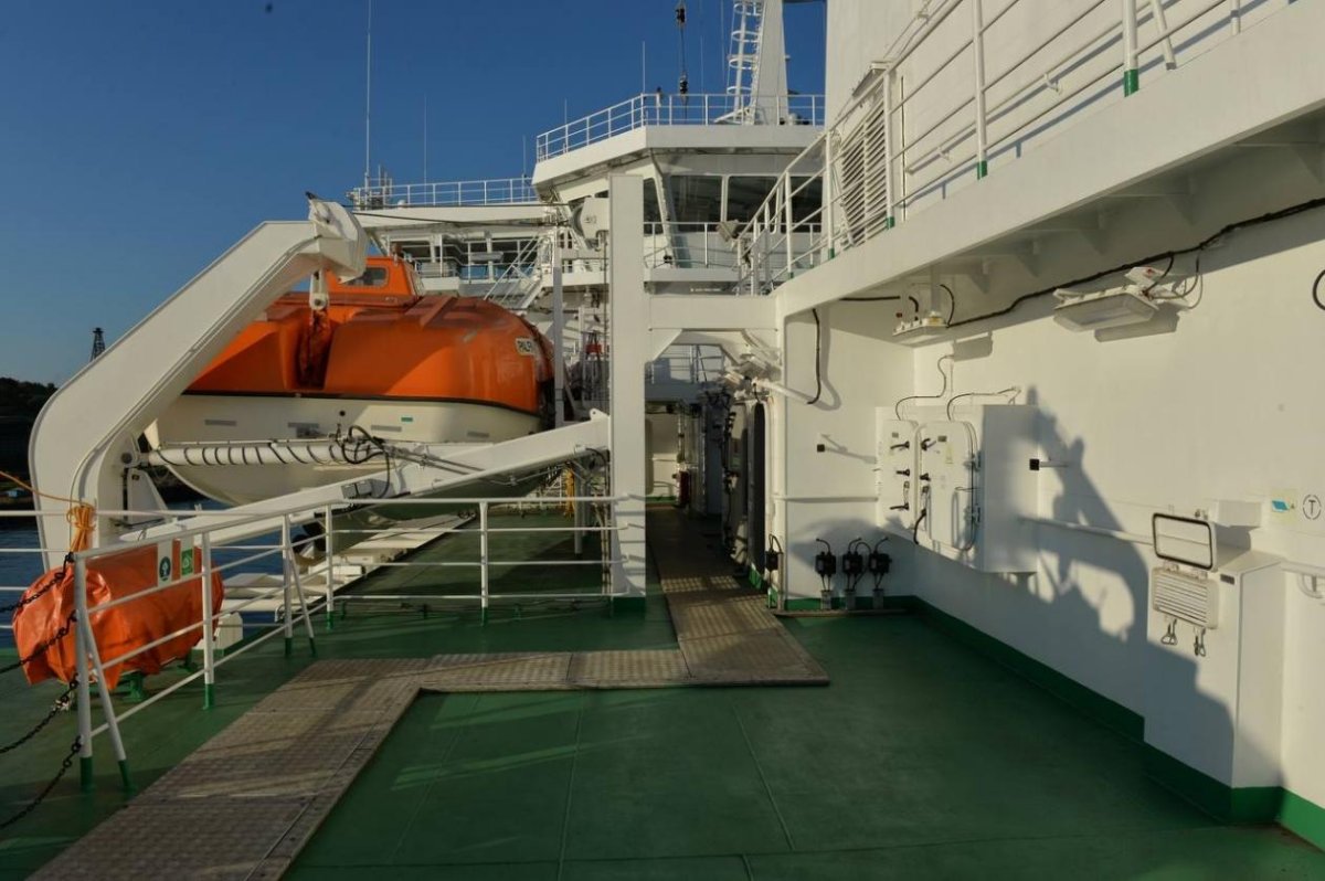 Паром Александр Деев фото