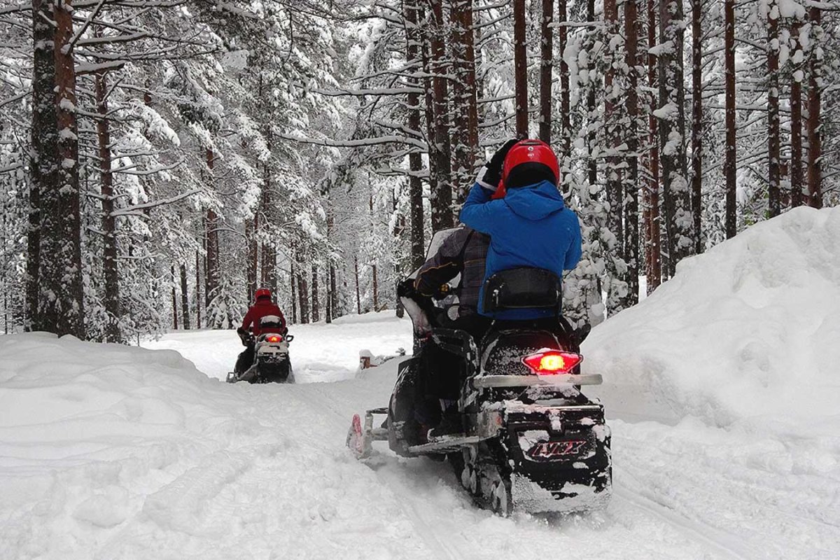 Снегоход в лесу