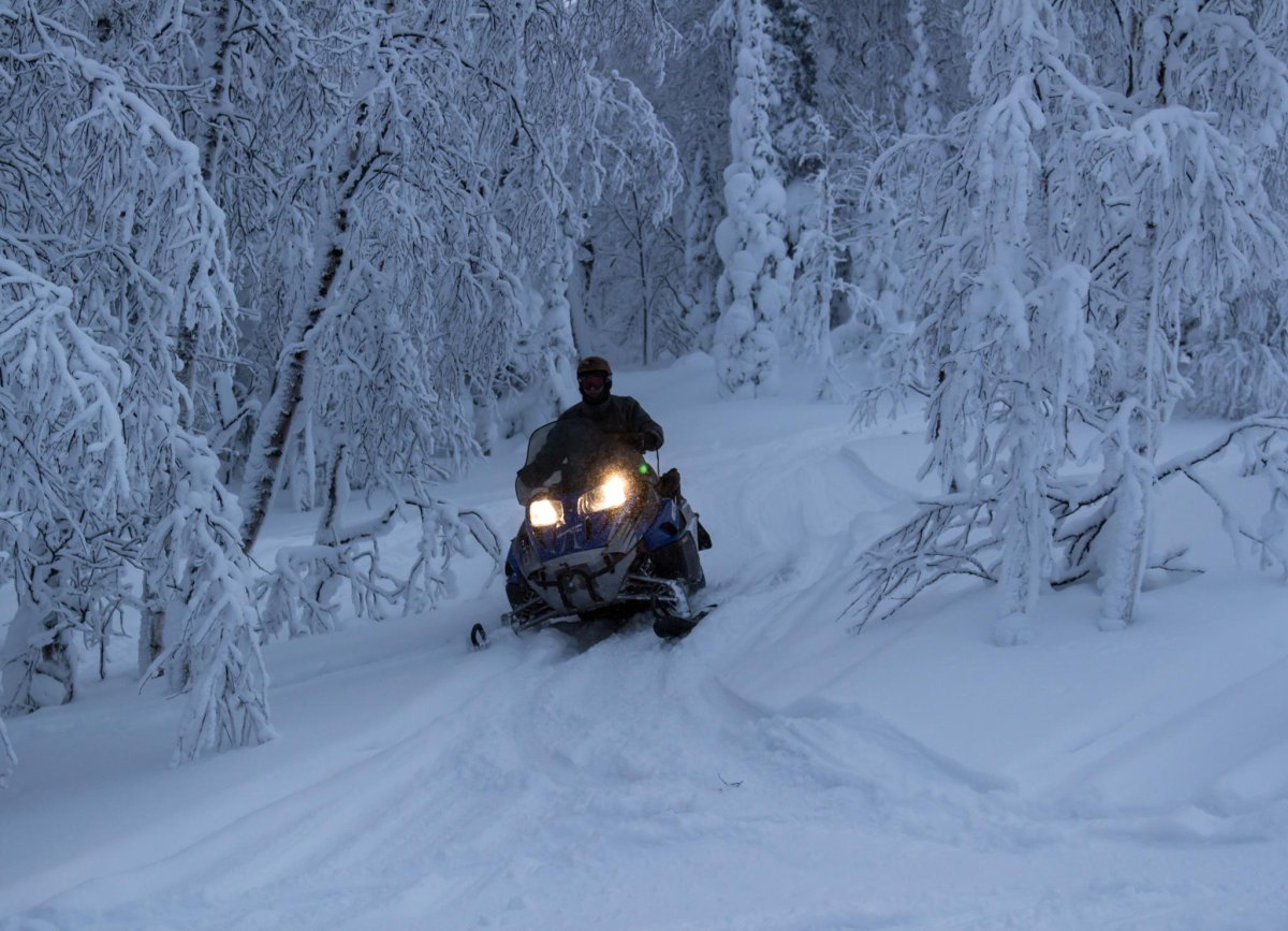 Снегоход Буран в лесу