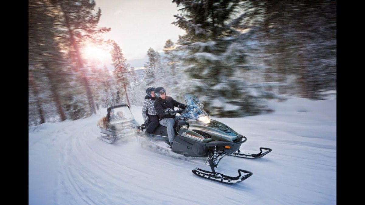 Снегоход Ямаха Викинг в лесу