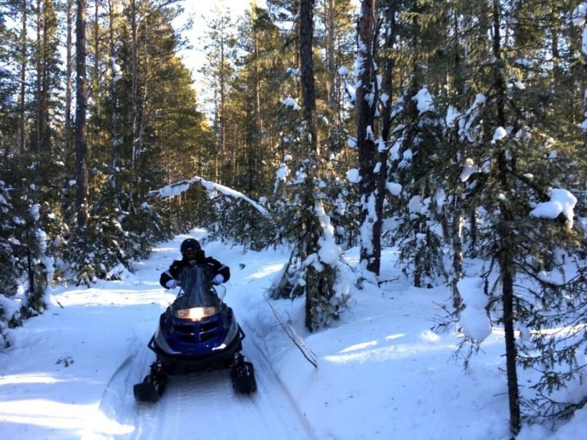 Прогулка на снегоходах