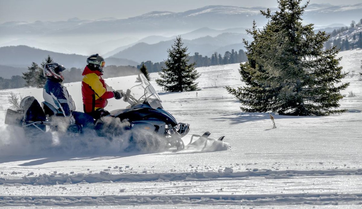 Семинский перевал горный Алтай