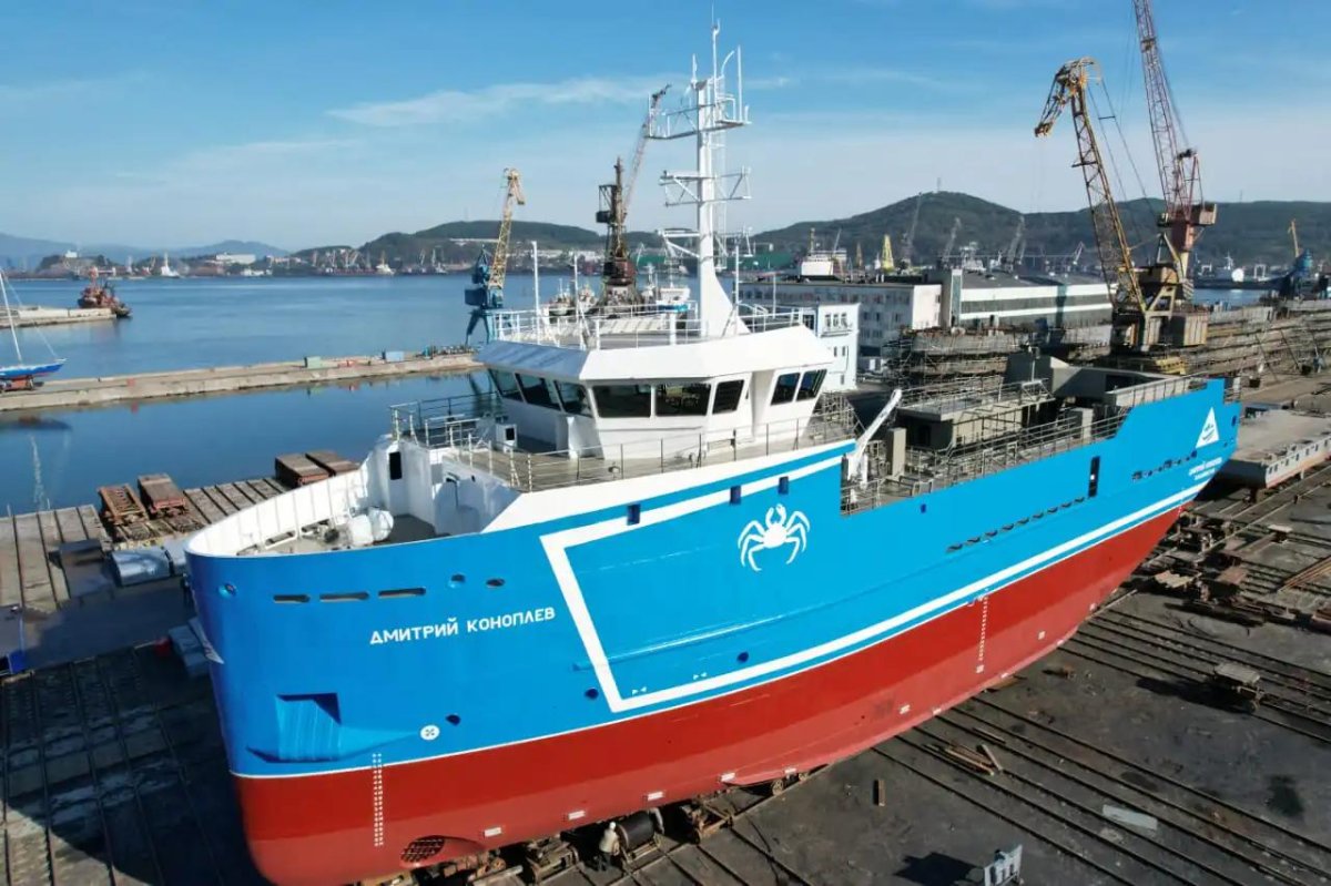 Краболов Владимир