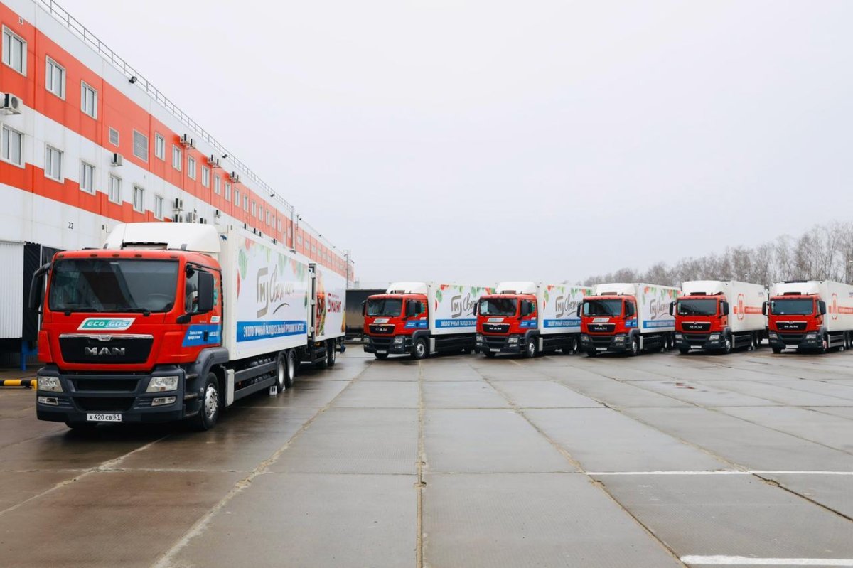 Газодизельный ман магнит