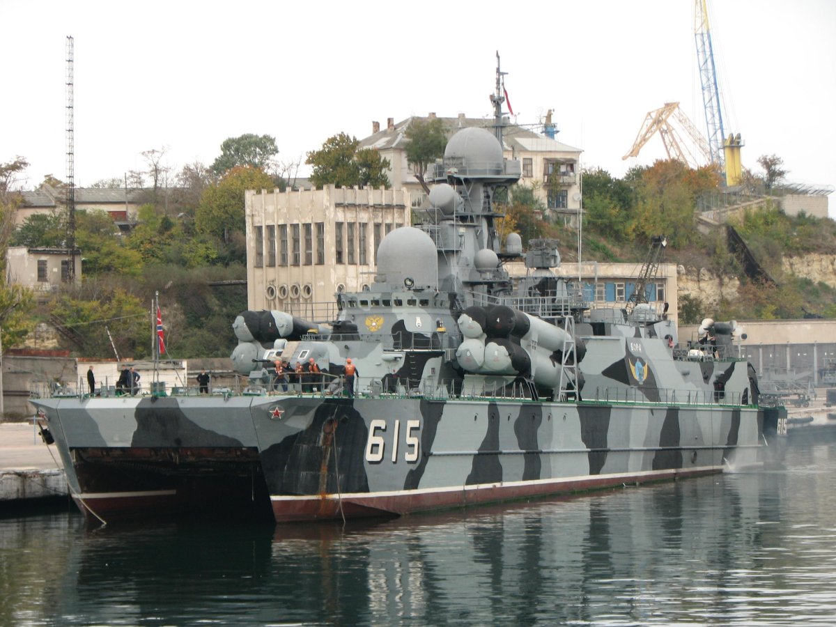 МРК пр. 1239 "сивуч"