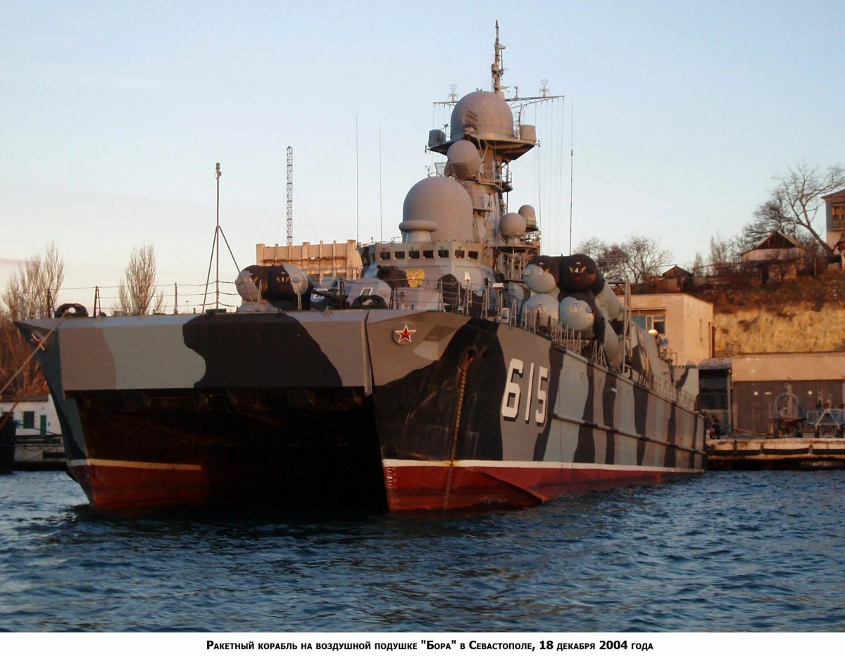 МРК пр. 1239 "сивуч"