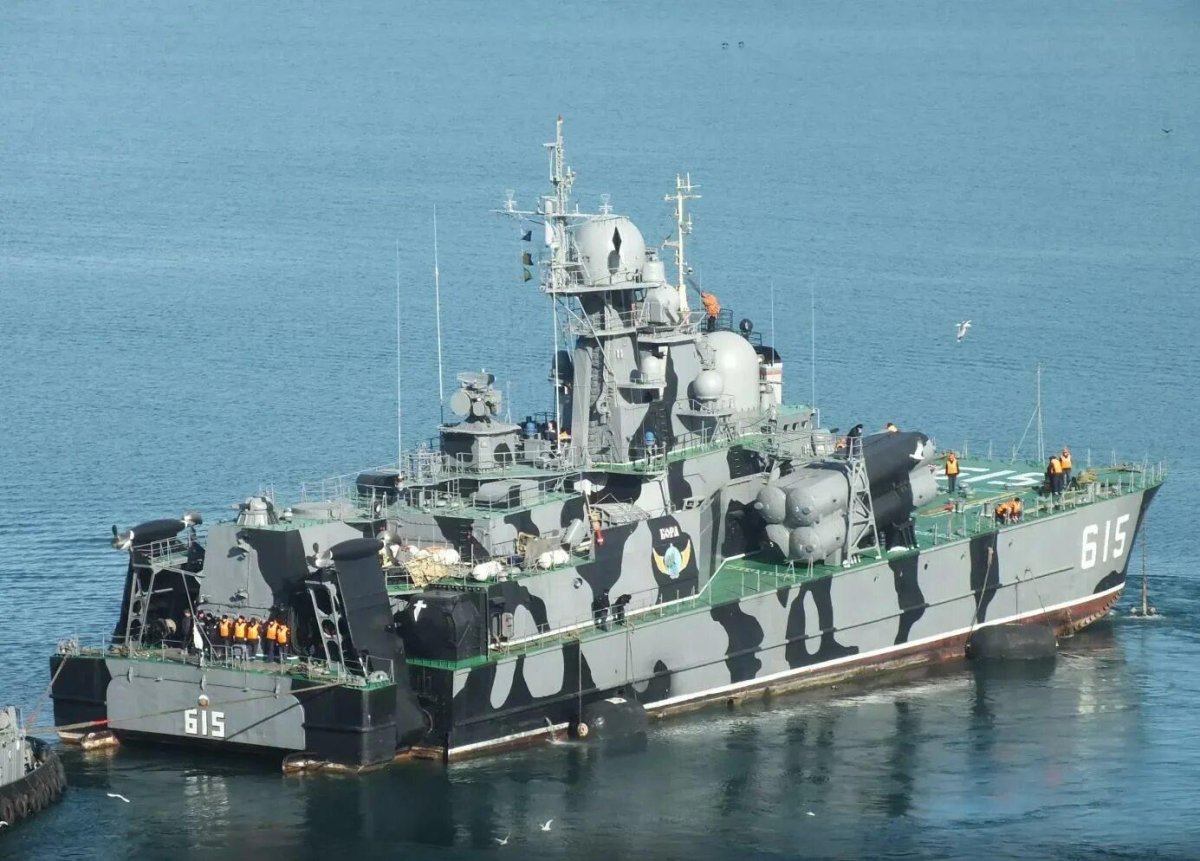 РКВП Бора проекта 1239