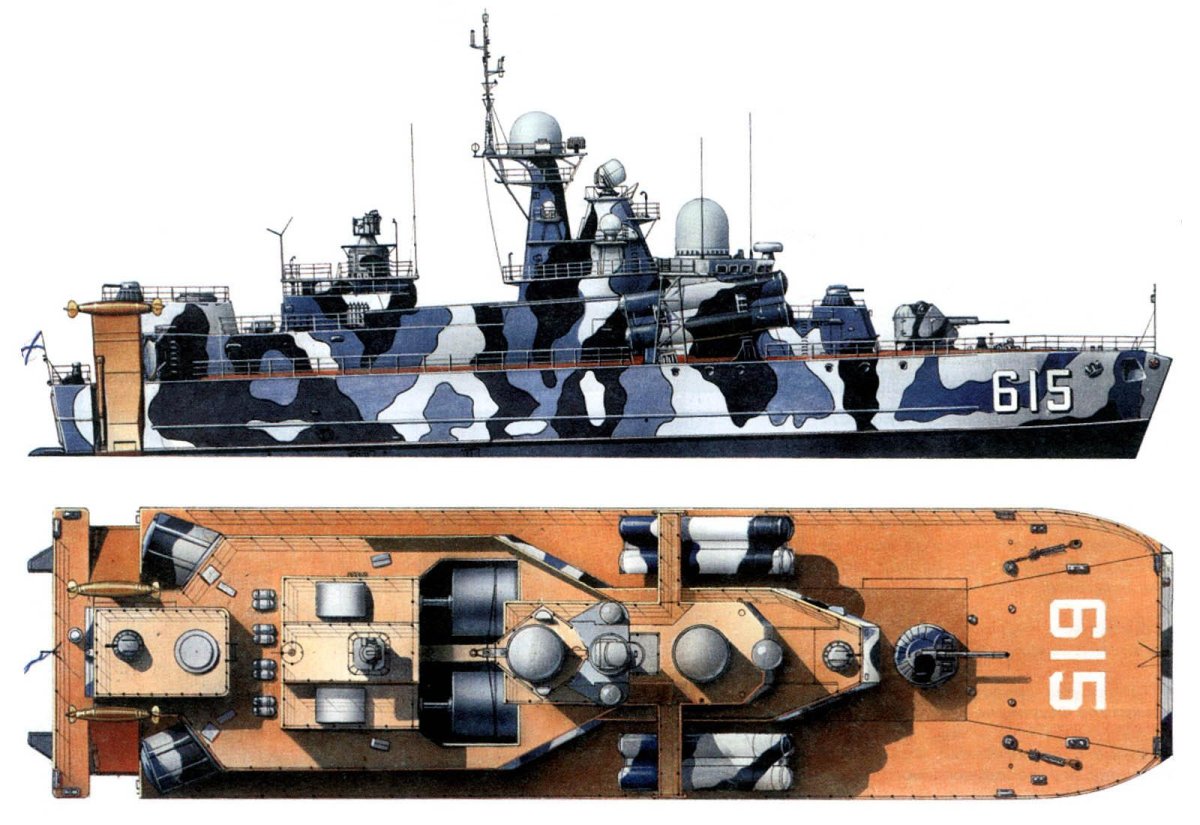 МРК проекта 1239 сивуч