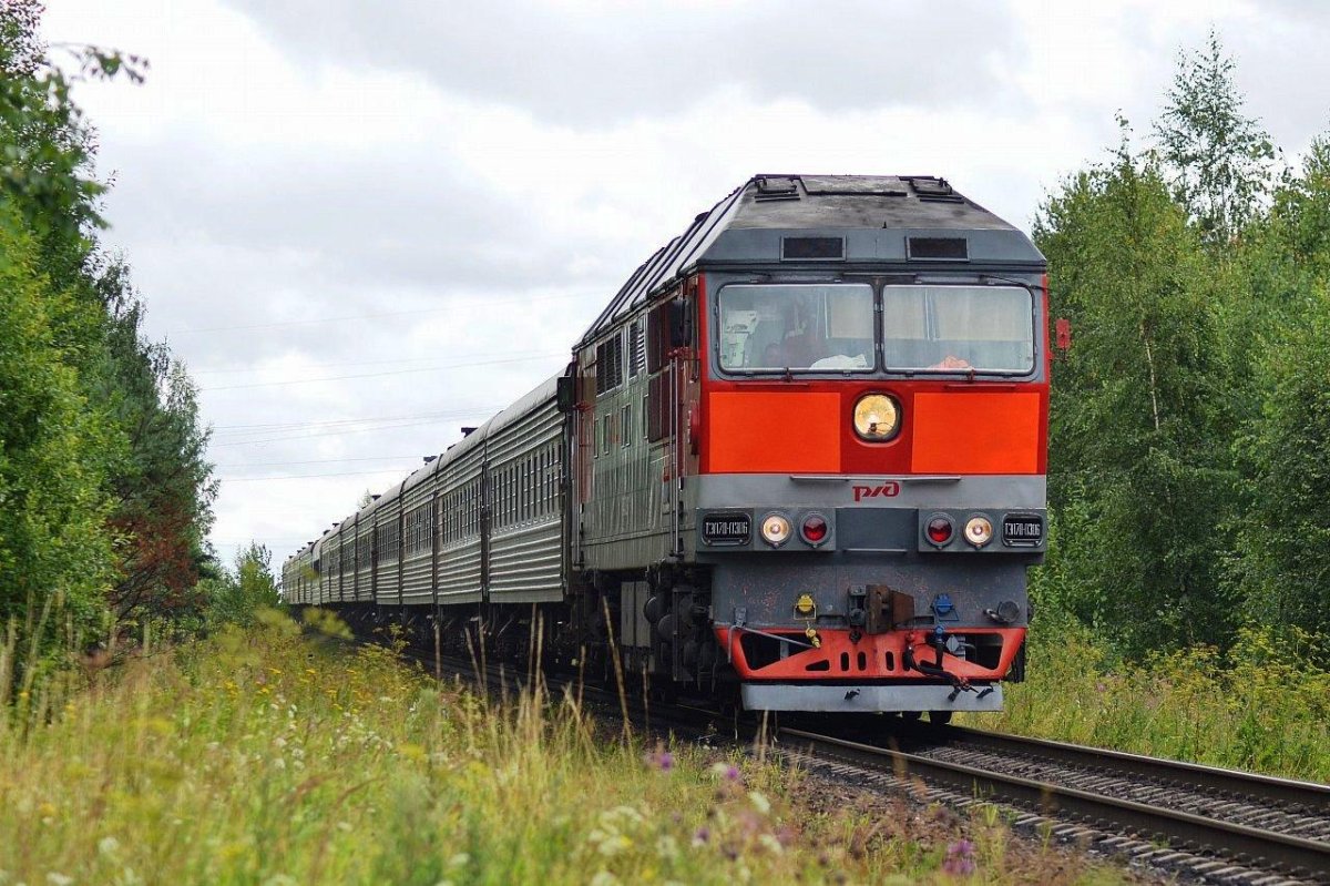 Поезд 306