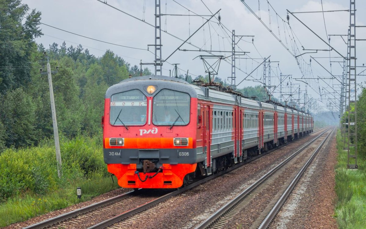 Эд4м-0238 Петушки