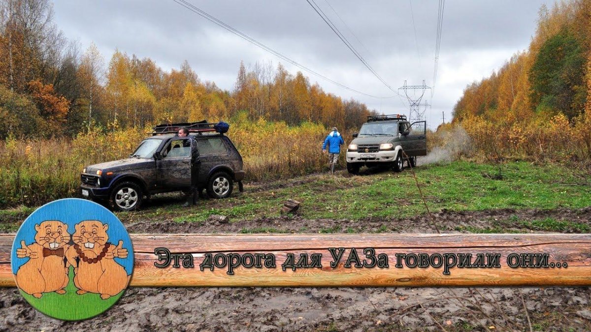 Нива и бобры
