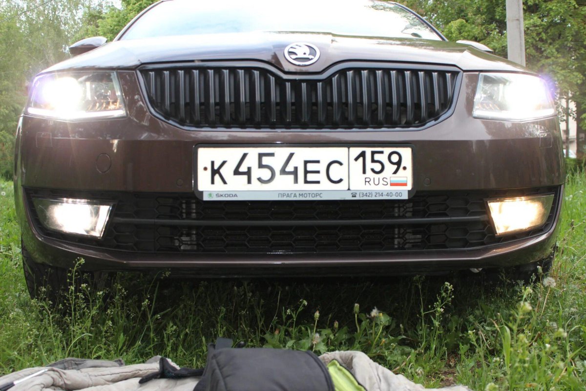 ПТФ Октавия а7 дорест