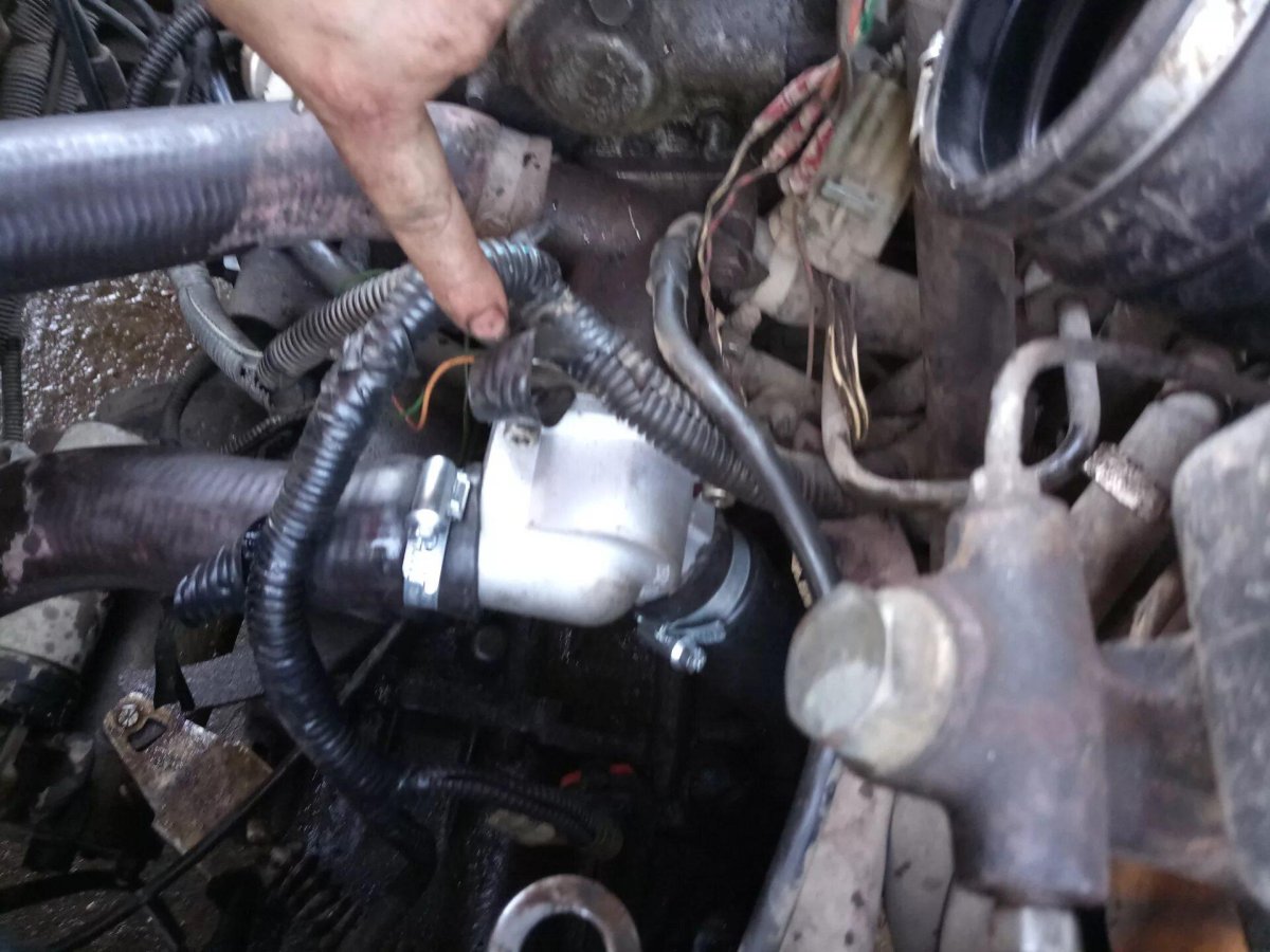 Датчик термостата 2115