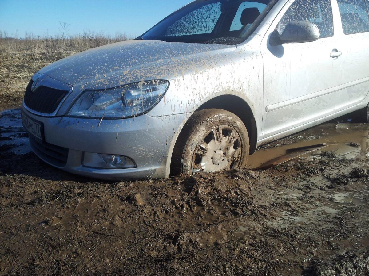 Октавия а5 в грязи