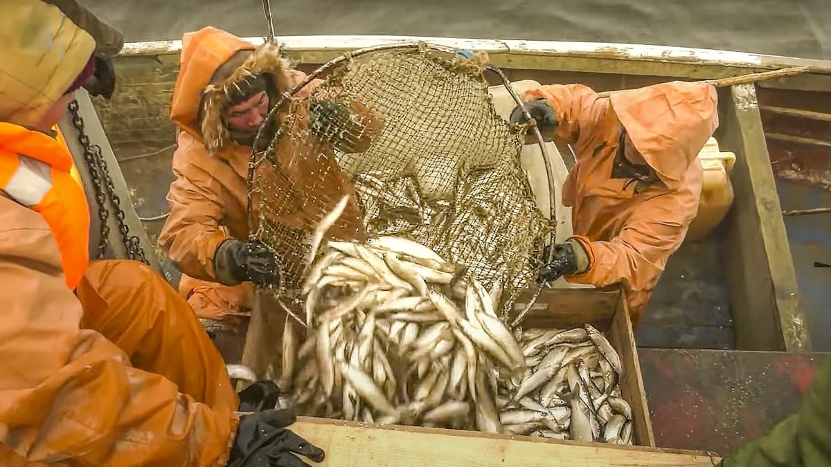 Рыболовство бурят охота и рыболовство