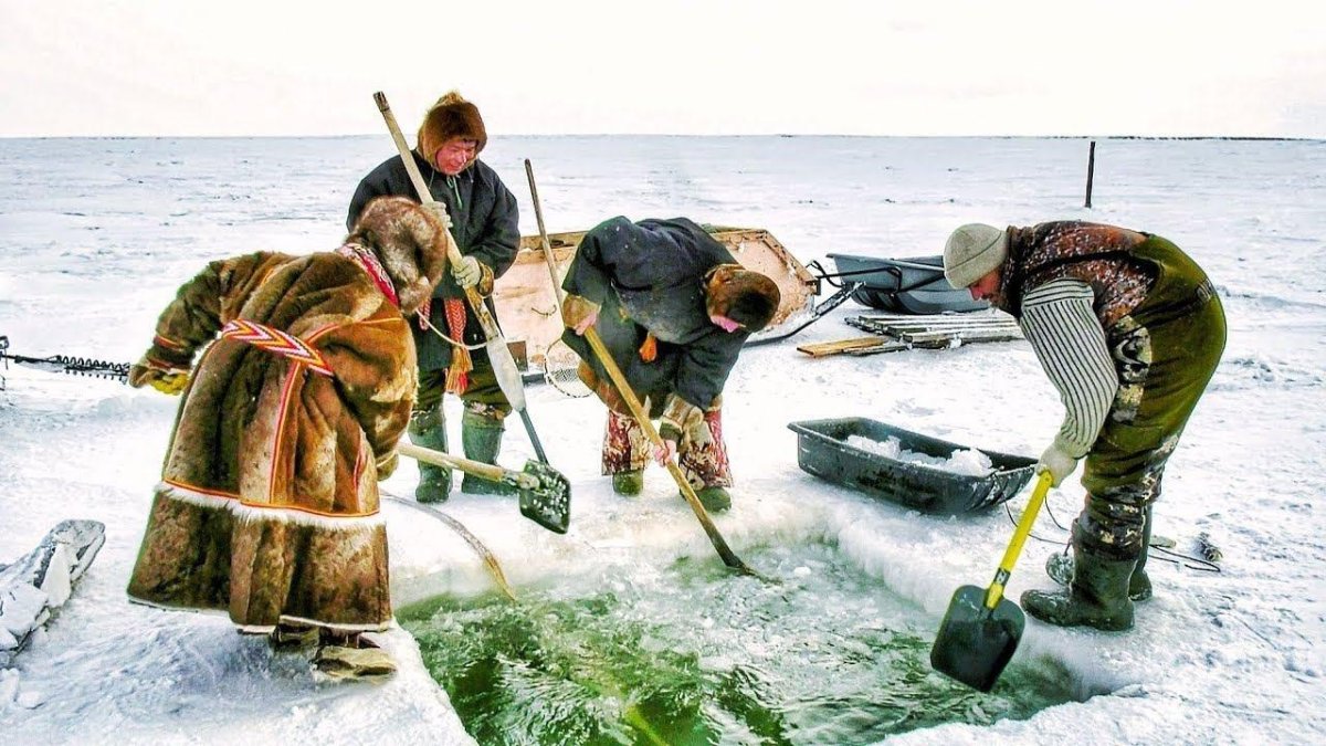 Ямал Карское море