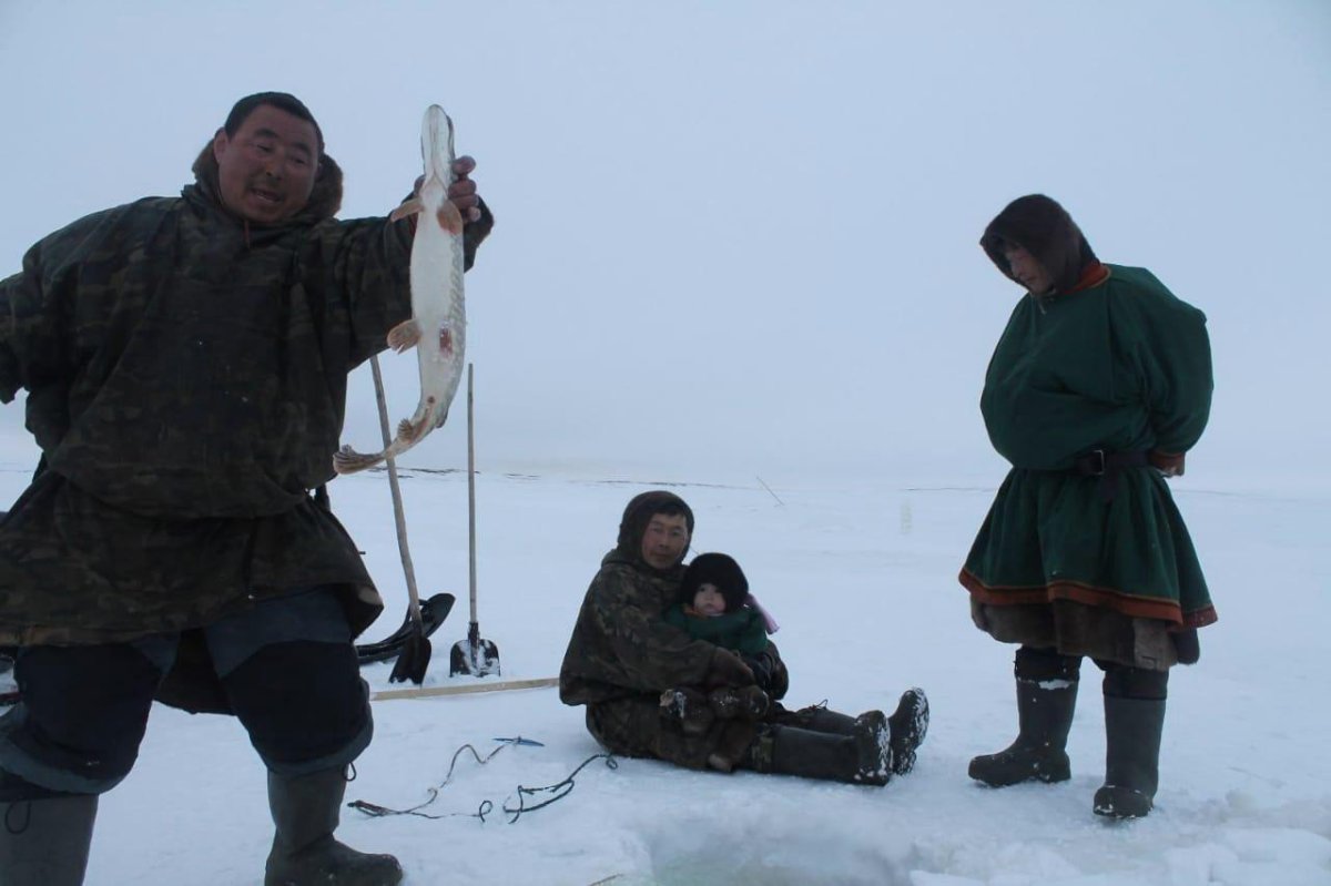 Коренные малочисленные народы севера ХМАО