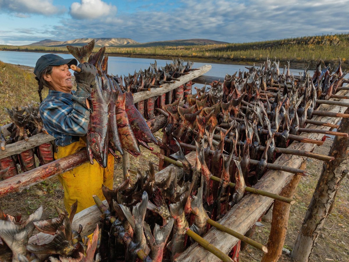 Юкола нивхи