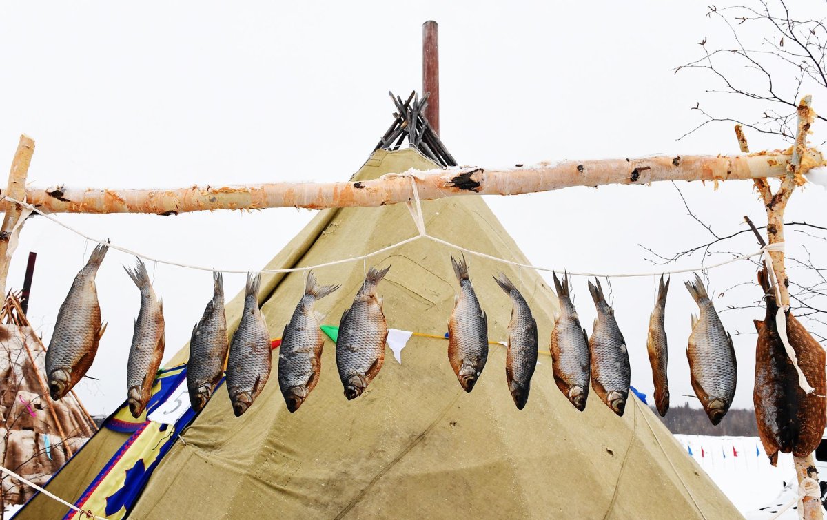 Рыбалка Ямало Ненецкий автономный округ