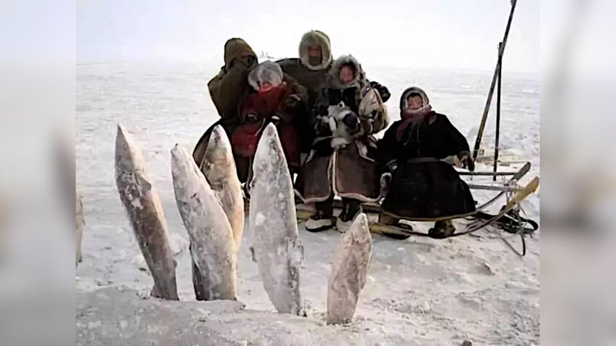 Чукчи Эскимосы Коряки