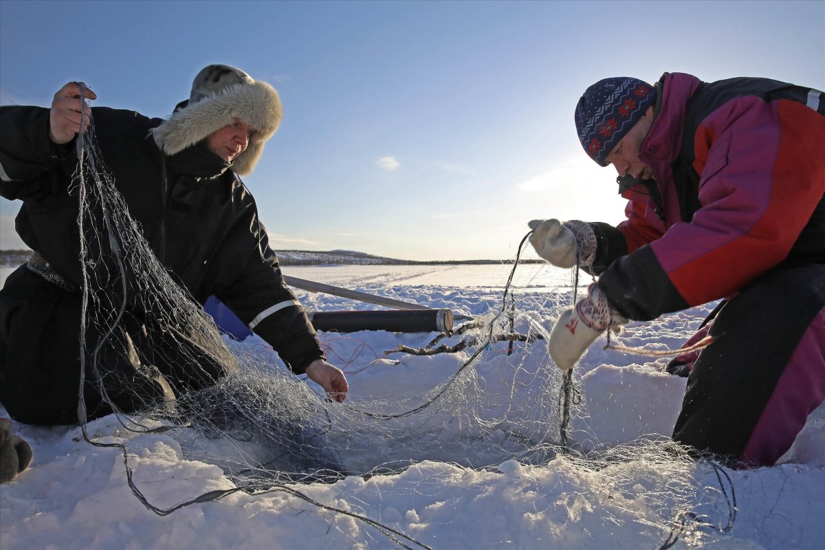 Саамы рыболовство