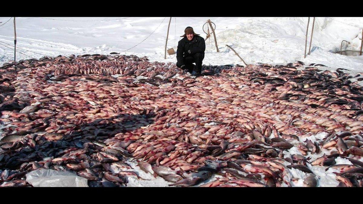 Рыбак зимой