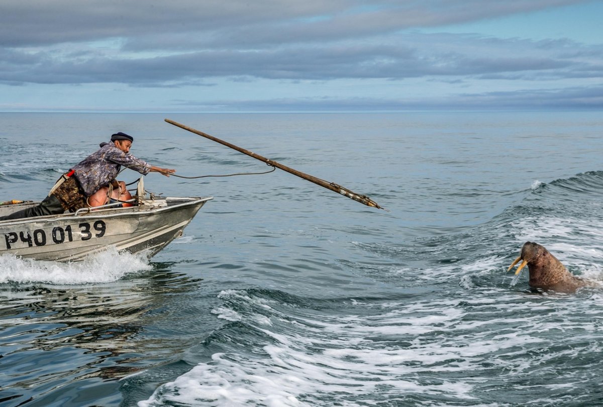 Лорино Берингия