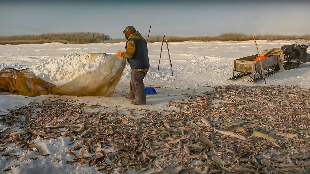 Рыбалка в Обской губе