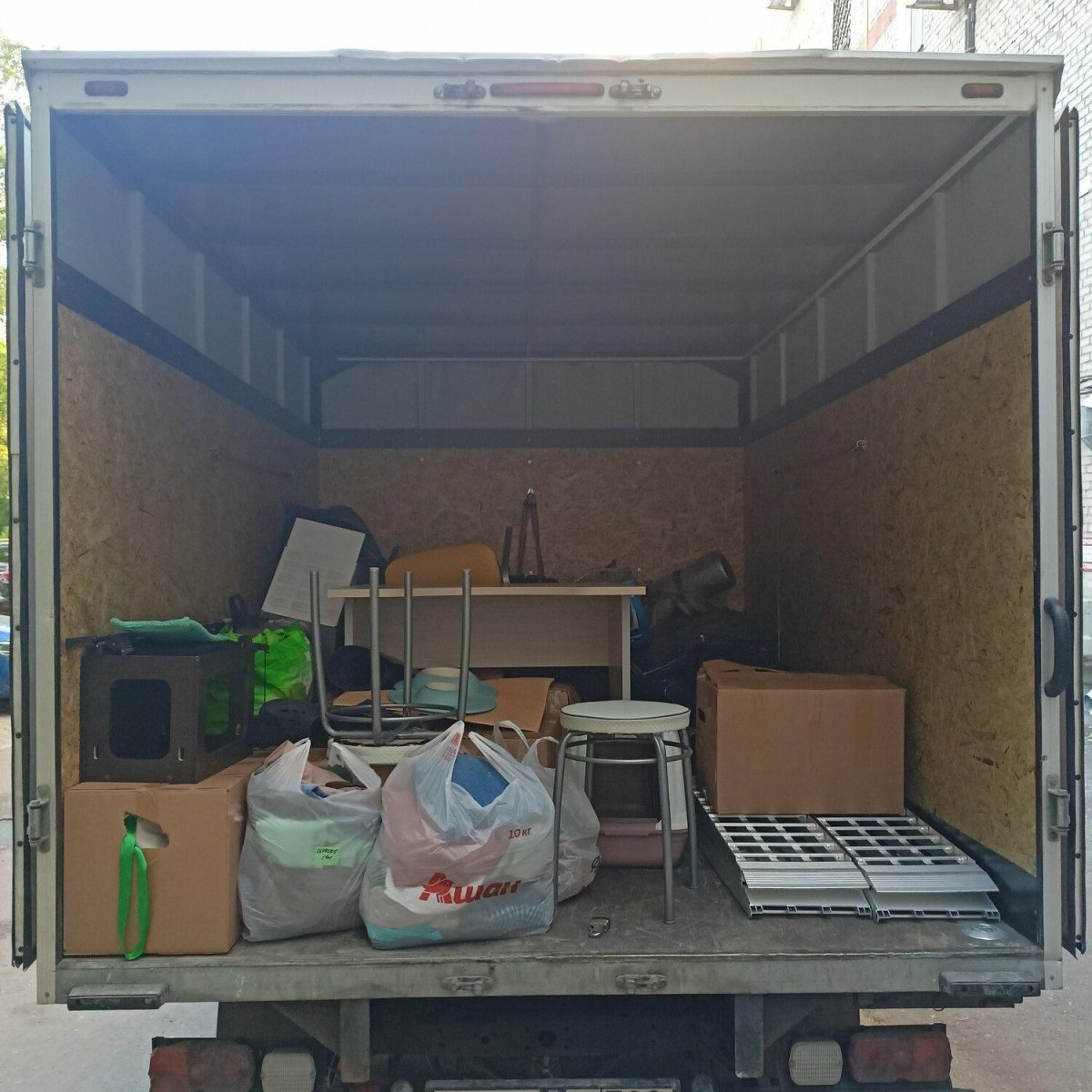 Газель кунг