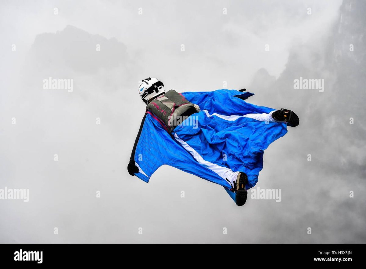 Вингсьют Эстетика