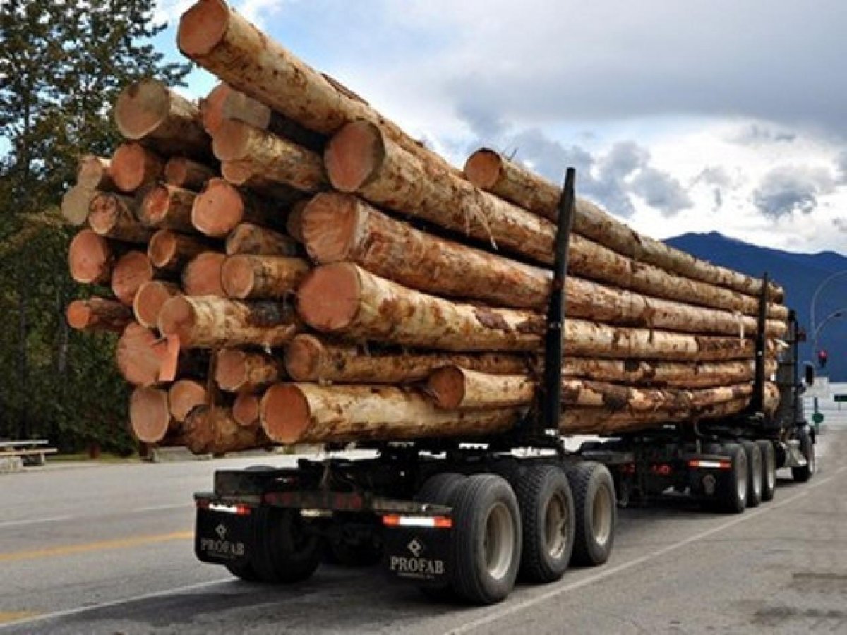 КАМАЗ 6520 лес кругляк