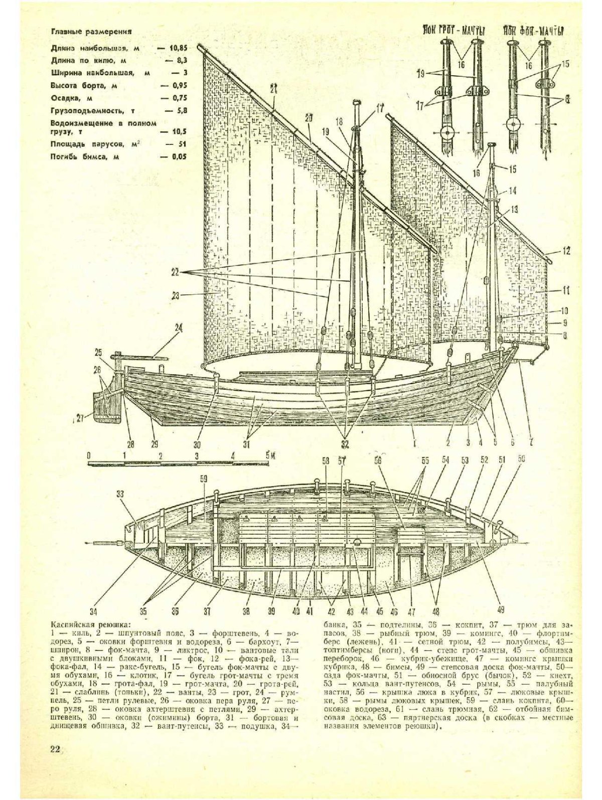 Реюшка Каспийская