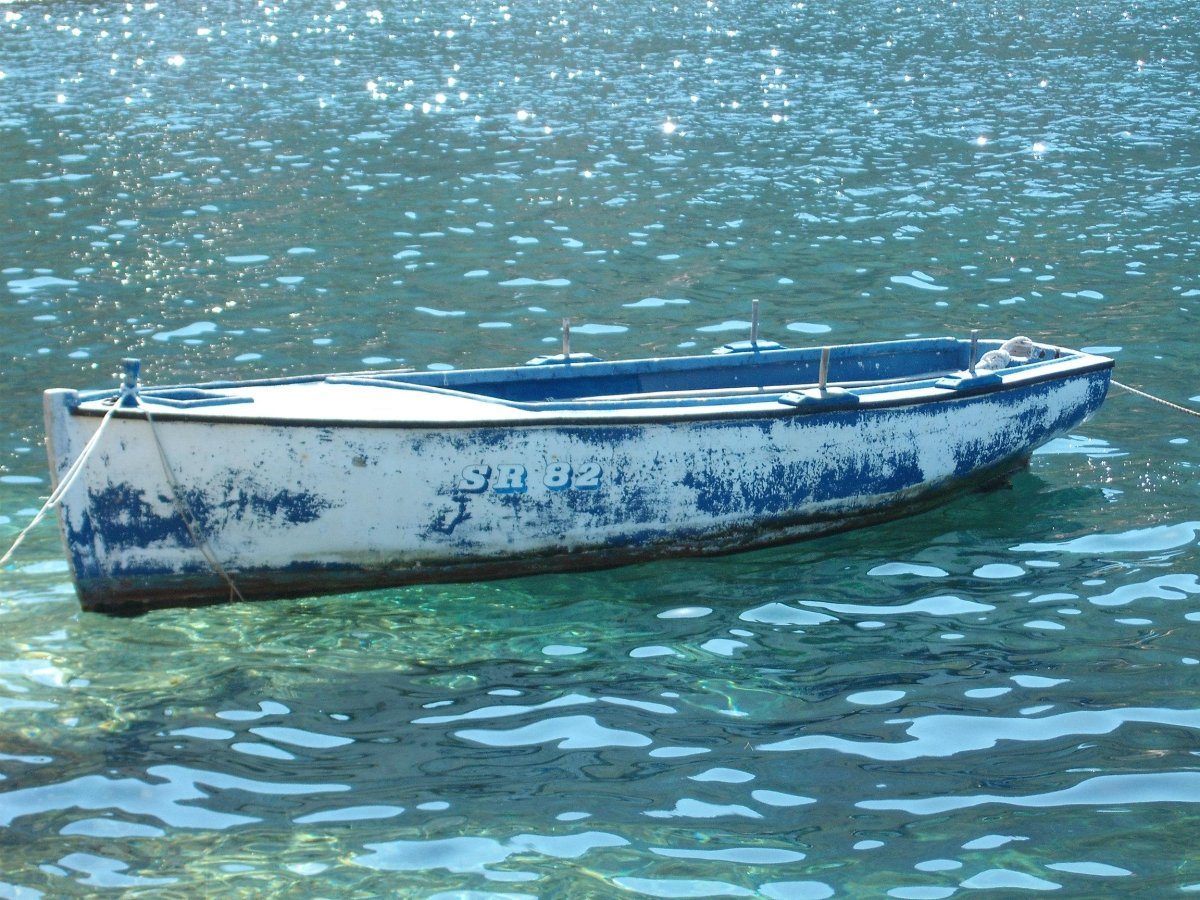 Сойма судно