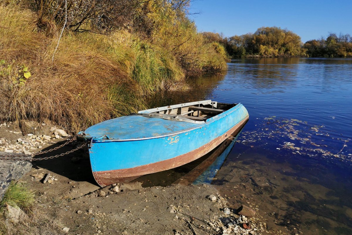 Сойма лодка